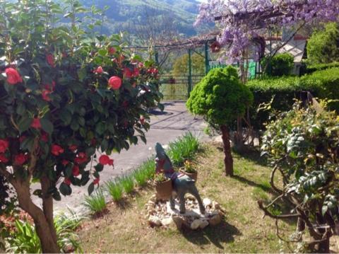 Peter Ranch 3 Apartment Vico Canavese Luaran gambar